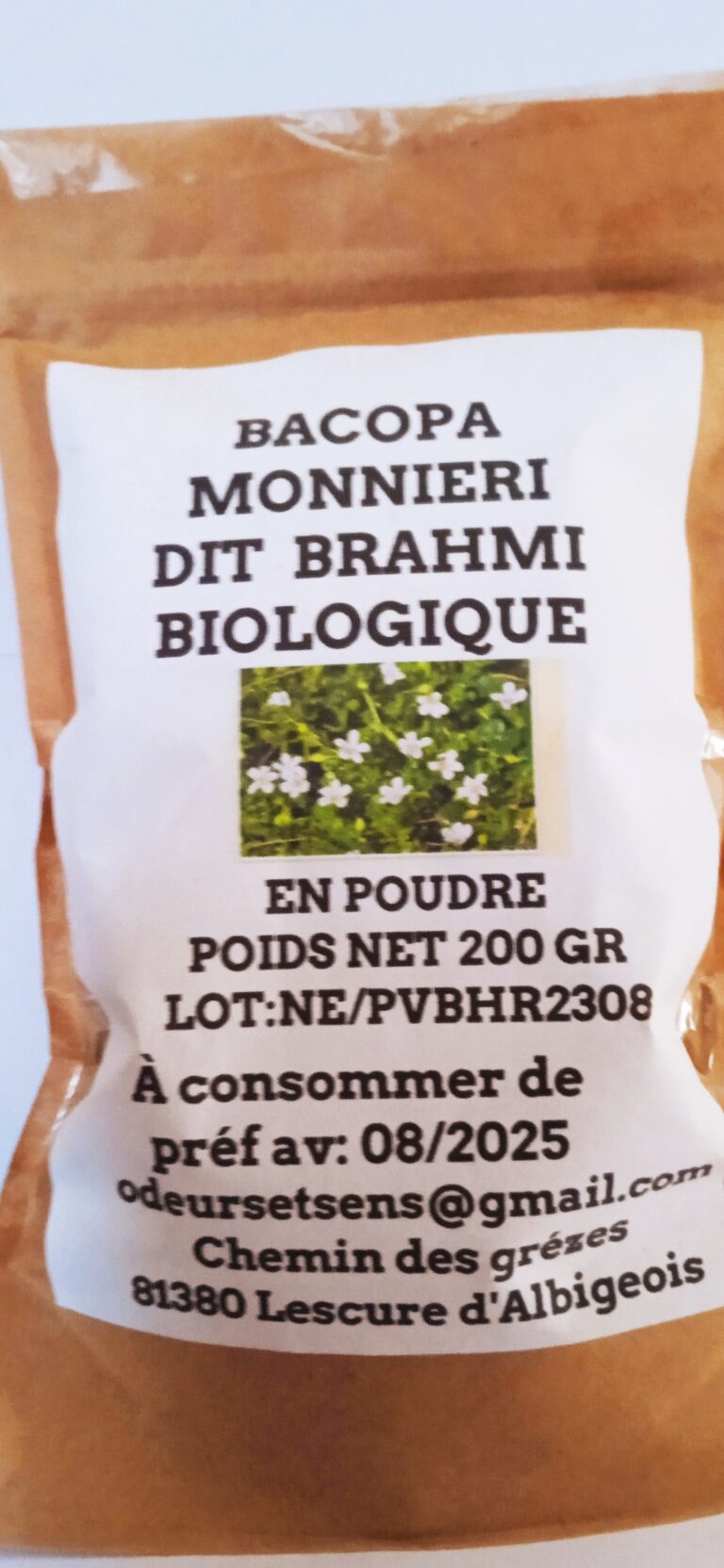 Lire la suite à propos de l’article La Bacopa monnieri ou Hysope d’eau