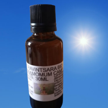 Huile essentielle de ravintsara biologique: une alliée pour votre immunité et votre sommeil.