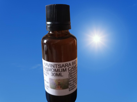 Huile essentielle de ravintsara biologique: une alliée pour votre immunité et votre sommeil.
