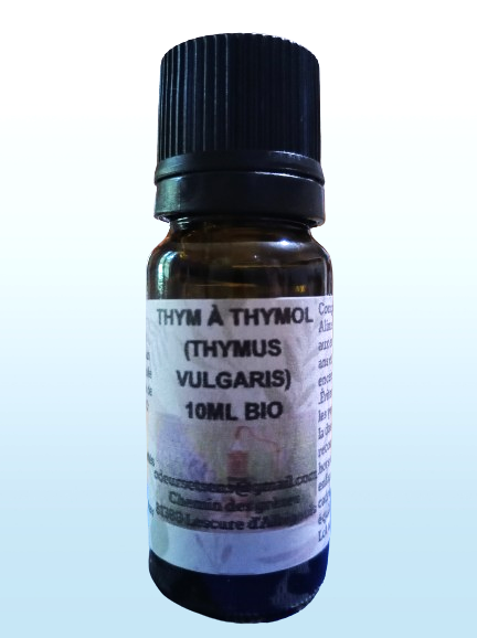 L'huile essentielle de thym à thymol est une alliée précieuse pour passer un bon hiver.