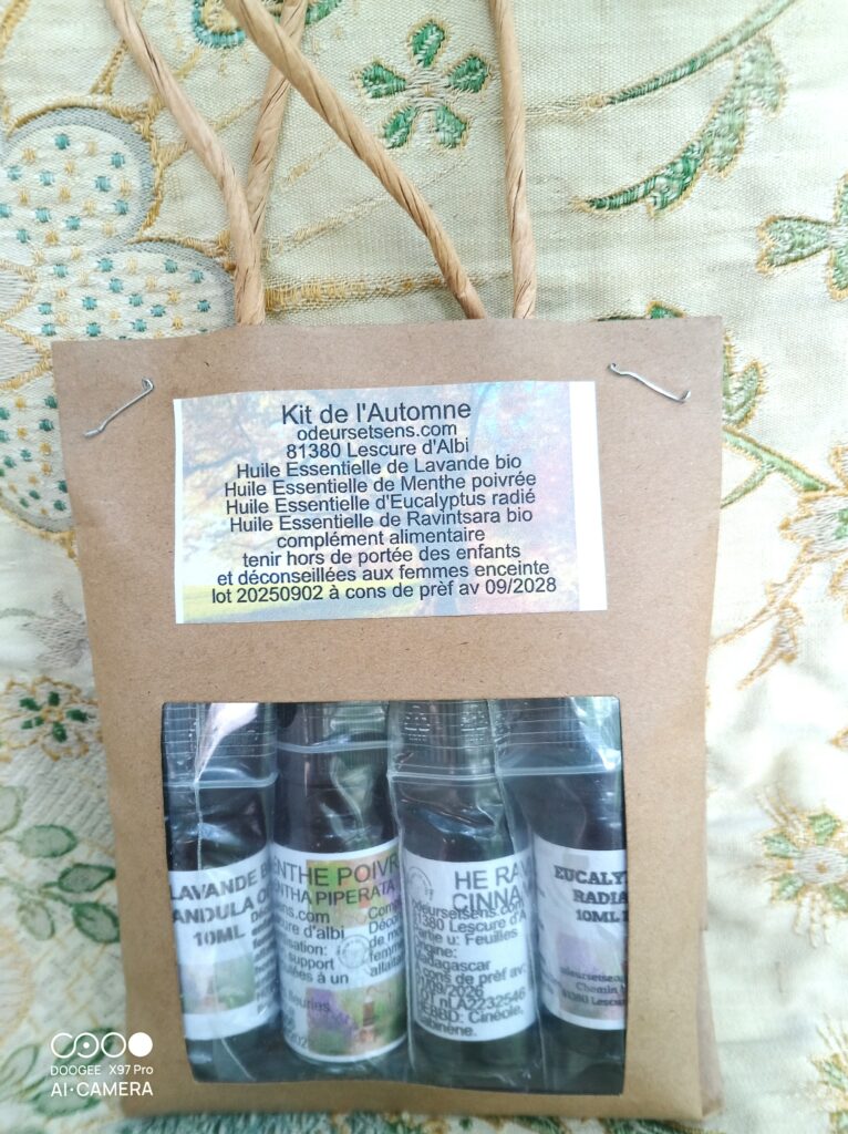 kit d'automne pour faire face aux petits tracas quotidiens.