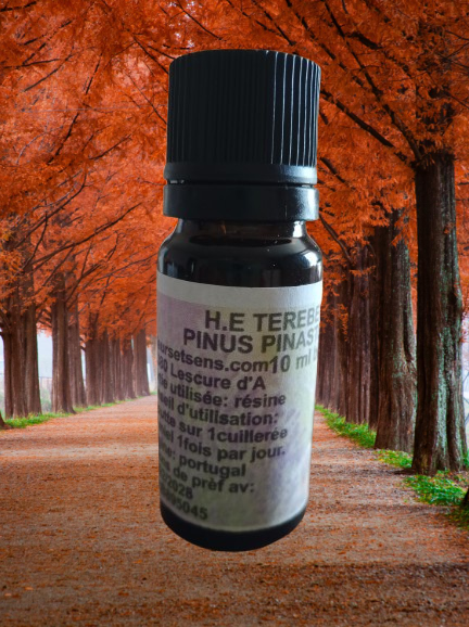 L'huile essentielle pour libérer un poumon encombré.