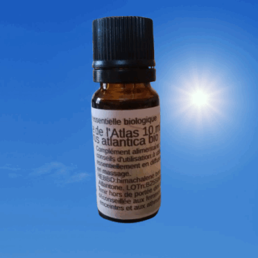 Huile essentielle de Cèdre biologique.