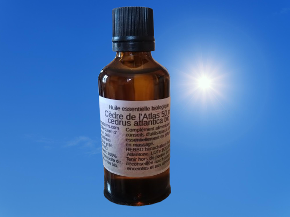 Huile essentielle biologique de cèdre de l'Atlas sur un fond de ciel bleu ensoleillé